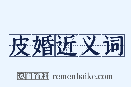 皮婚近义词是什么意思的图片